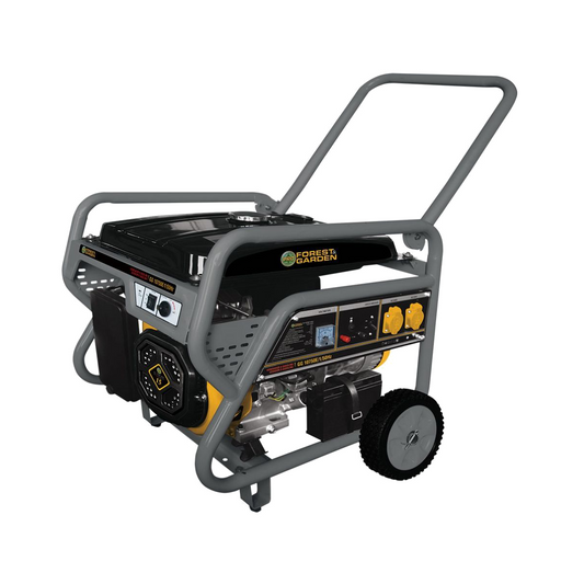 Generador Forest Garden GG10500E